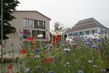 Bildungsberatung Landratsamt Oberallgäu - Beispielbild