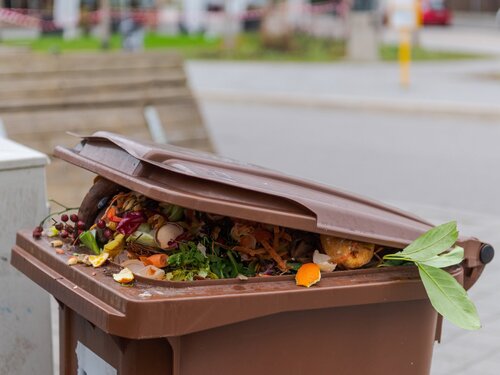 Brimful municipal bio-waste trash can with open lid for biological organic waste standing on open street in residential area after christmas holidays